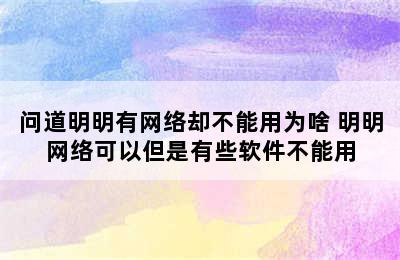 问道明明有网络却不能用为啥 明明网络可以但是有些软件不能用